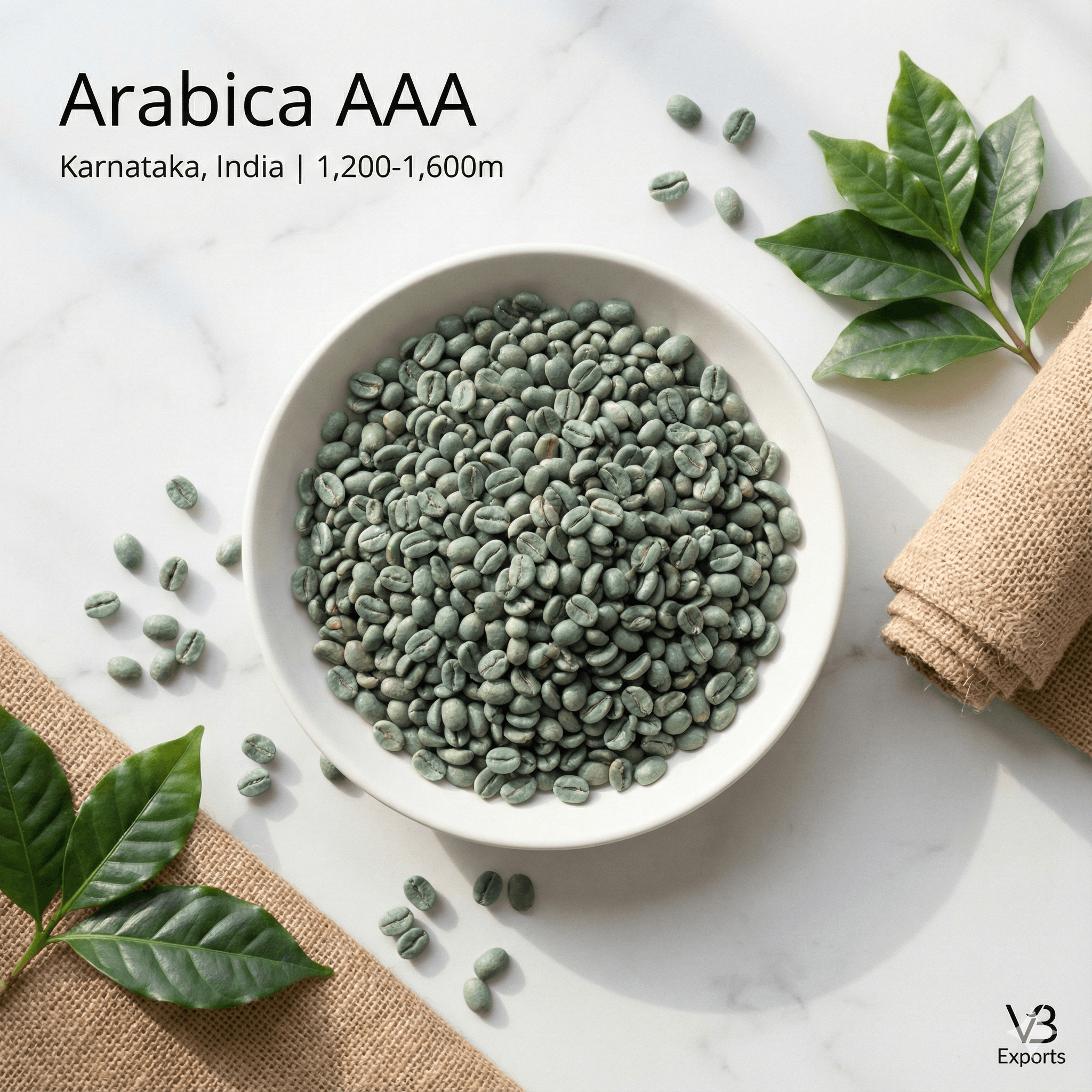 AAA Grade Arabica Green Coffee Beans - Premium Quality - Indian Coffee Export | VB Exports